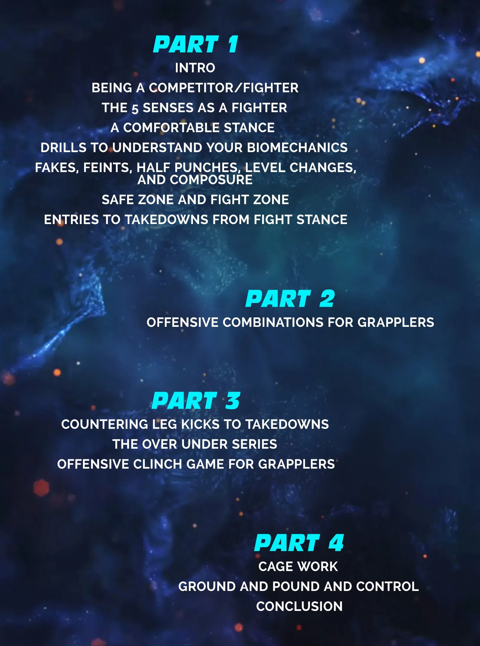 5 Senses of Striking by Henry Cejudo