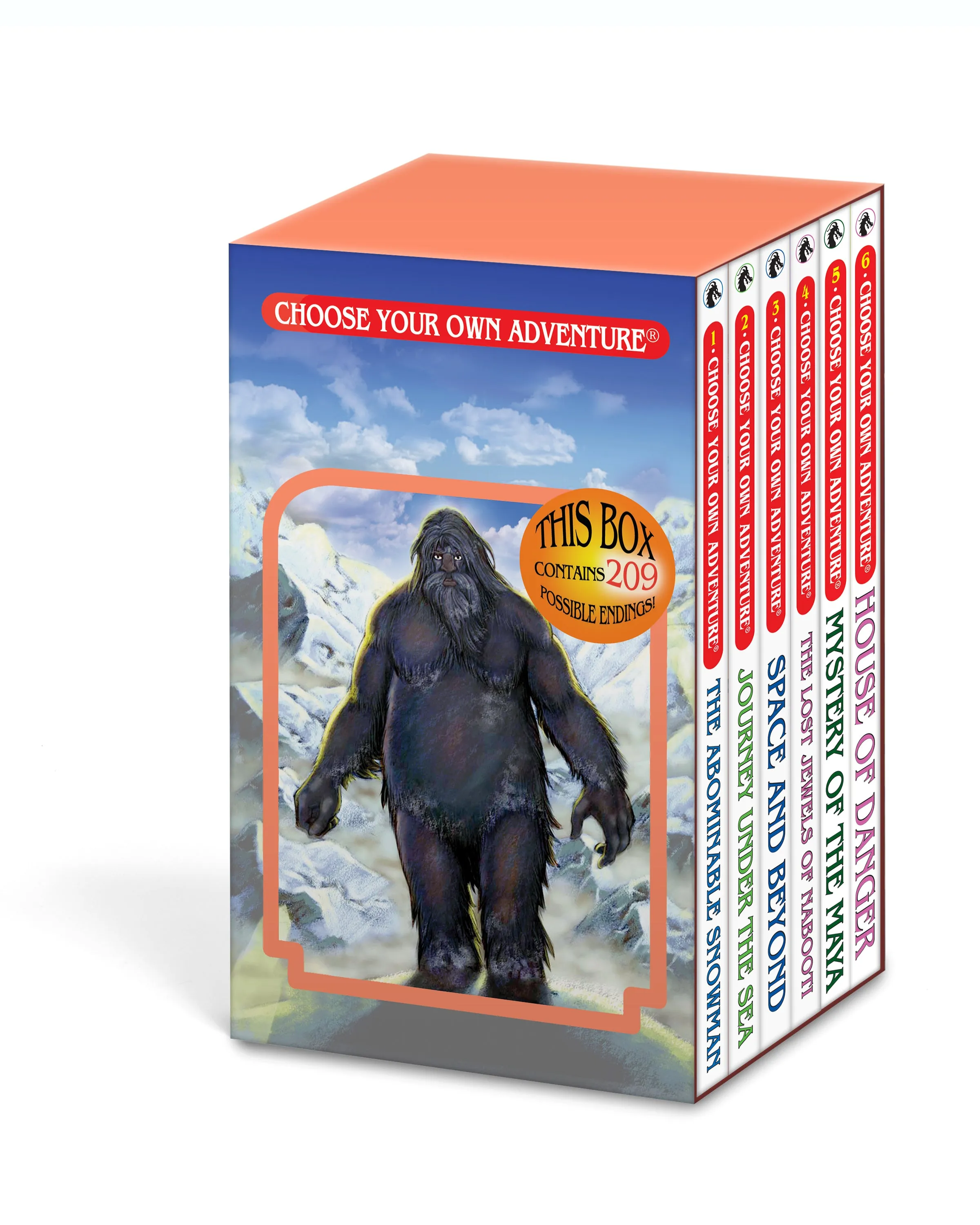 6 Book Boxed Set #1