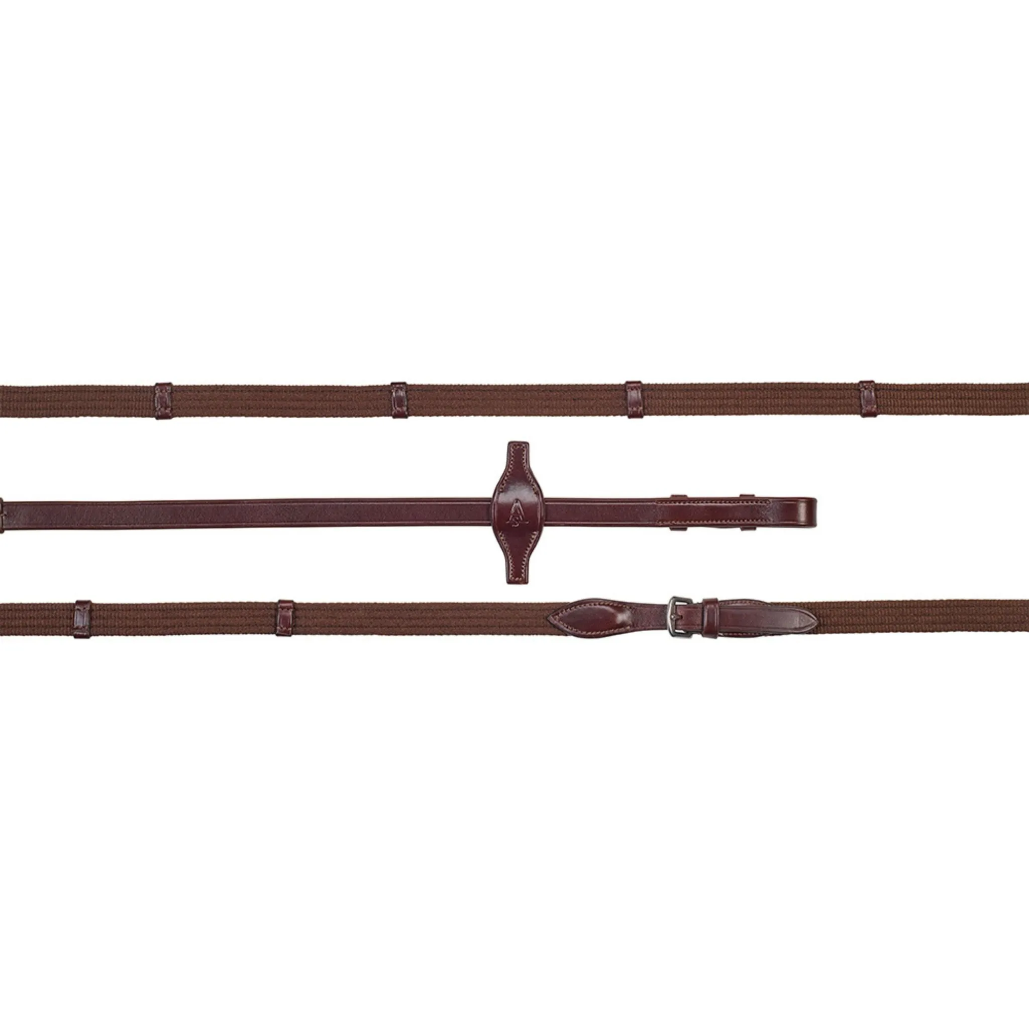 Arena Web Reins