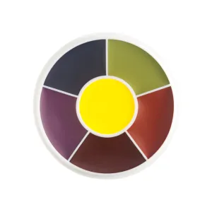 Ben Nye EW4 Master Bruise Wheel