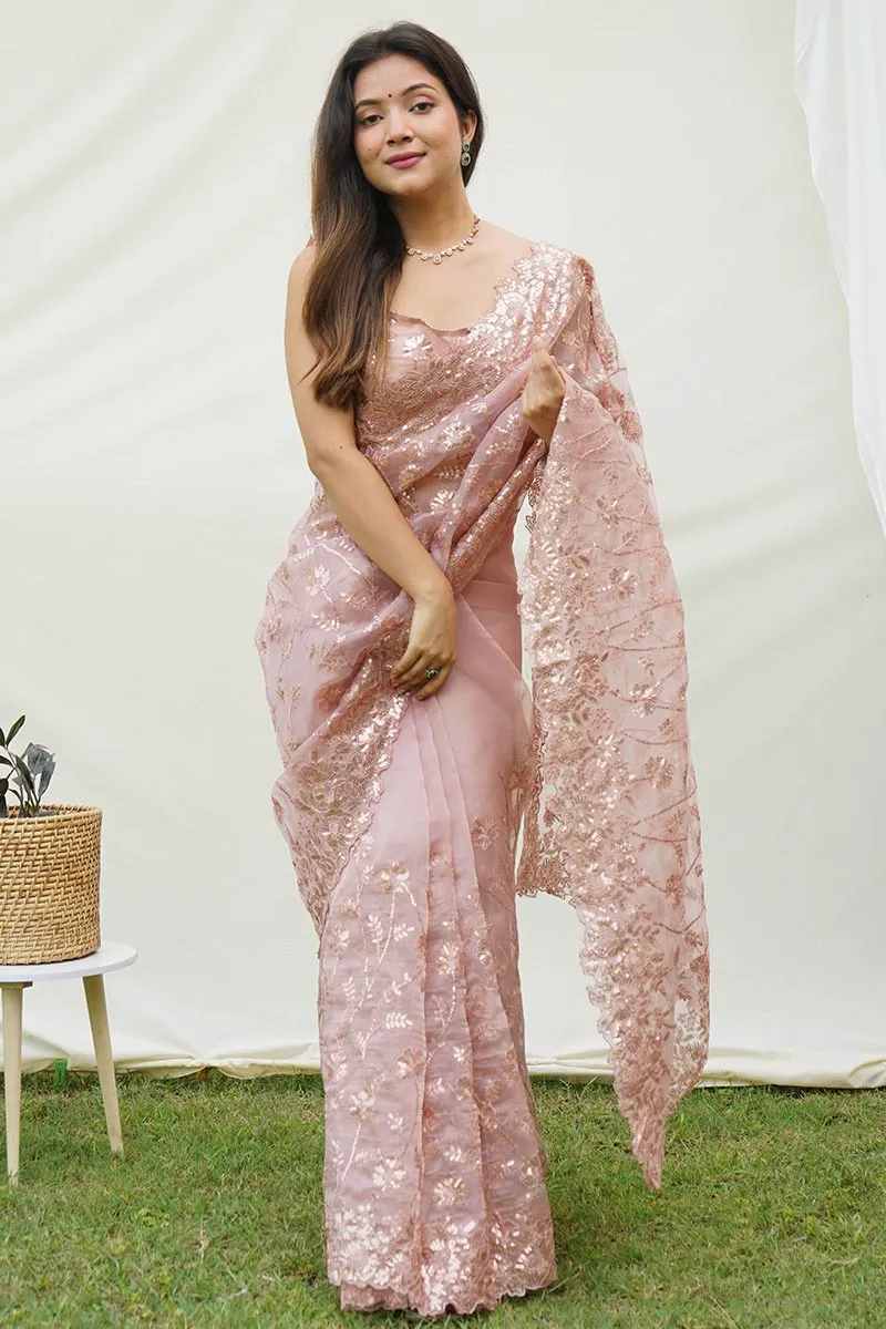 Brown Soft Pure Organza Saree with Shimmering Viscose Embroidery