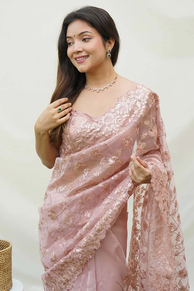 Brown Soft Pure Organza Saree with Shimmering Viscose Embroidery