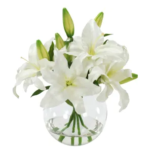 Casablanca in Glass Bowl 16"