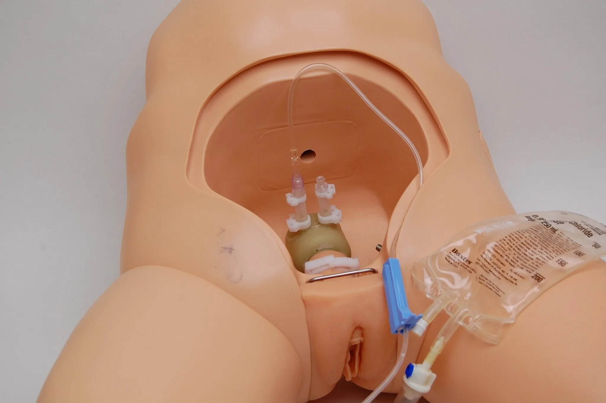 Cathi Female Catheterisation Trainer