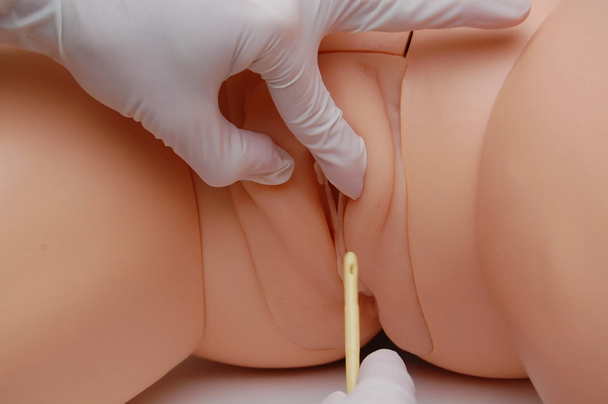 Cathi Female Catheterisation Trainer