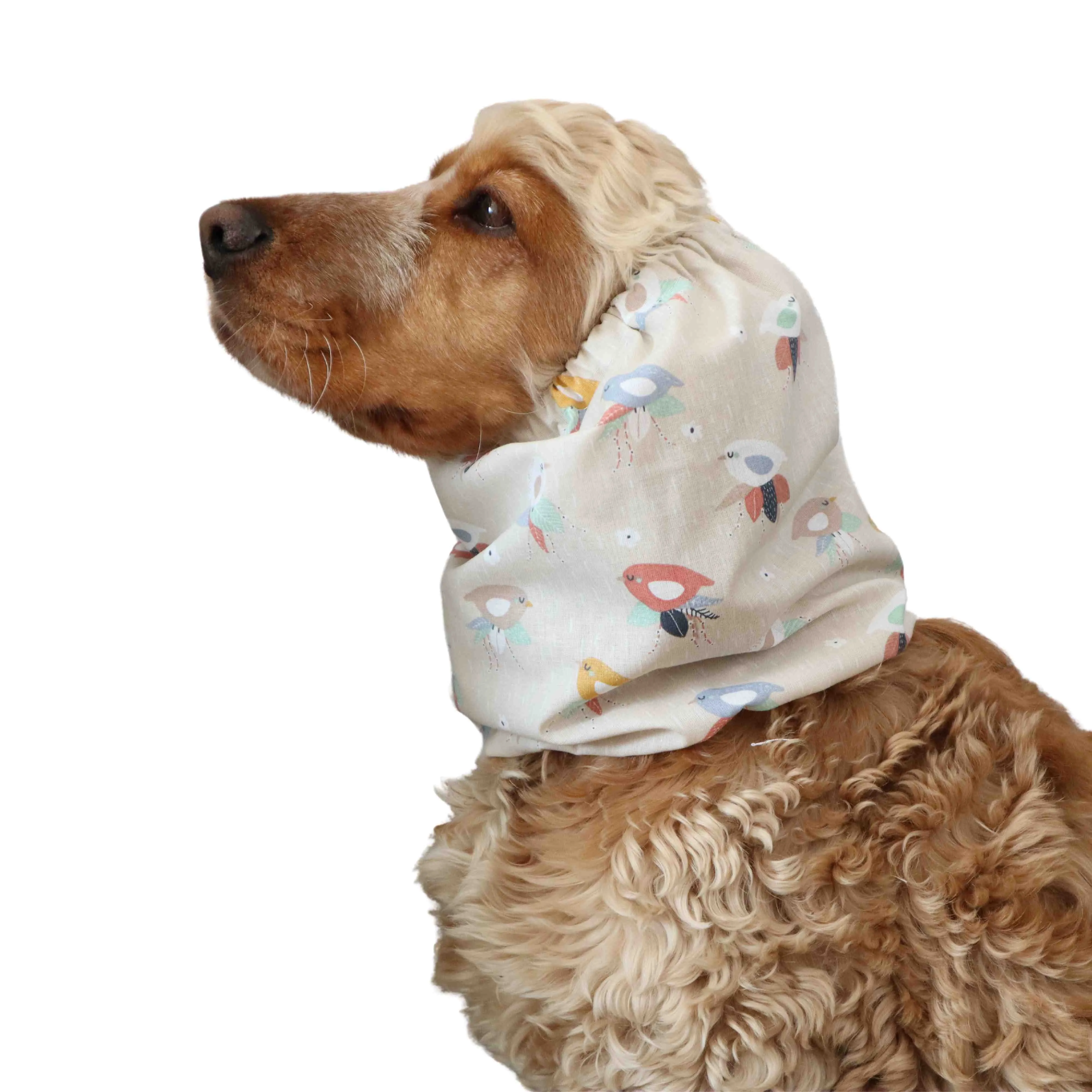 Cotton Dog Snood | Stylish Birds