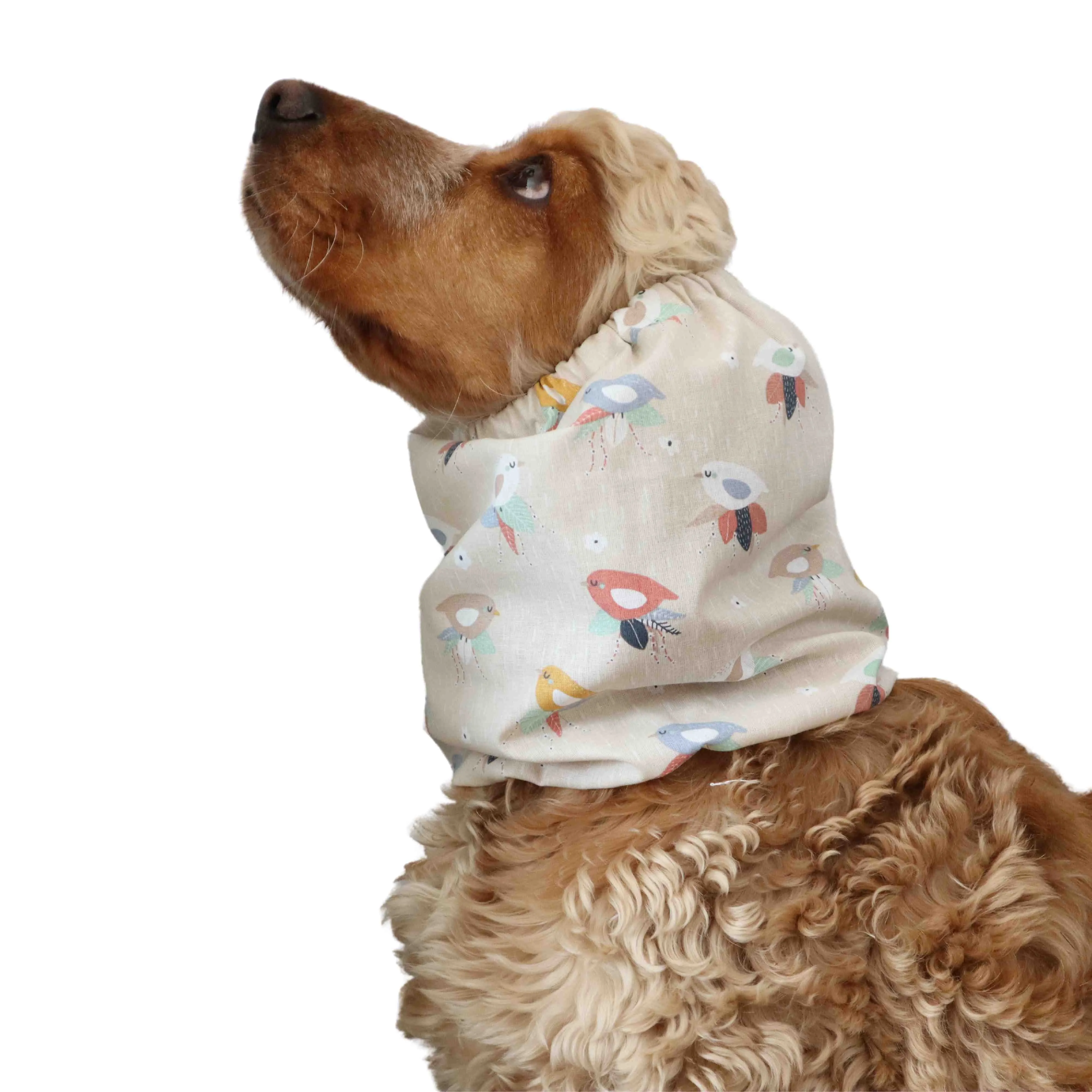 Cotton Dog Snood | Stylish Birds