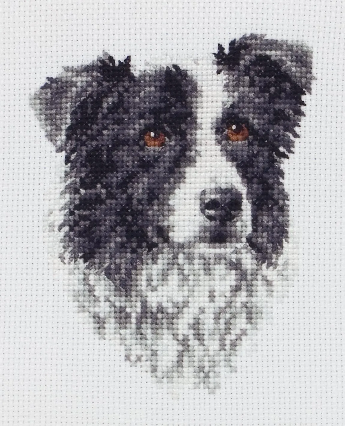 Cross Stitch Kit Anchor - Border Collie