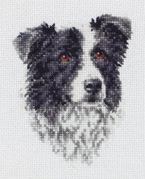 Cross Stitch Kit Anchor - Border Collie