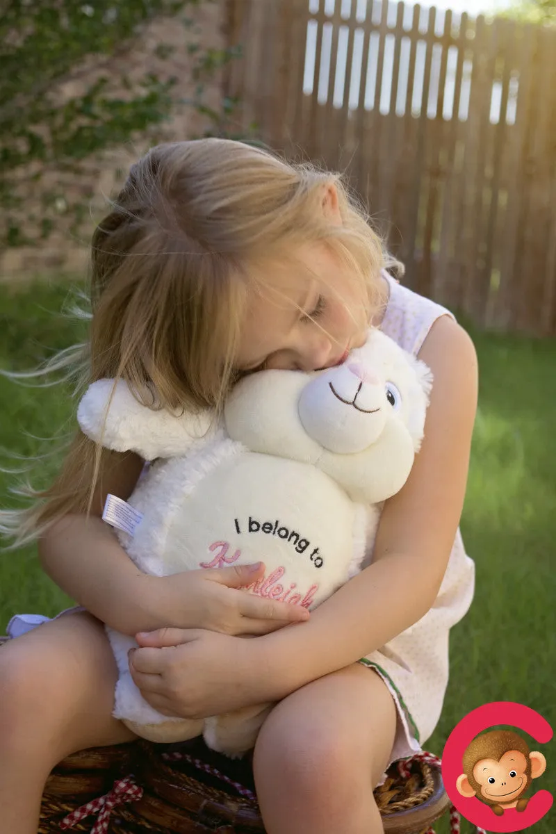 Cubbie - Huggles The Monkey