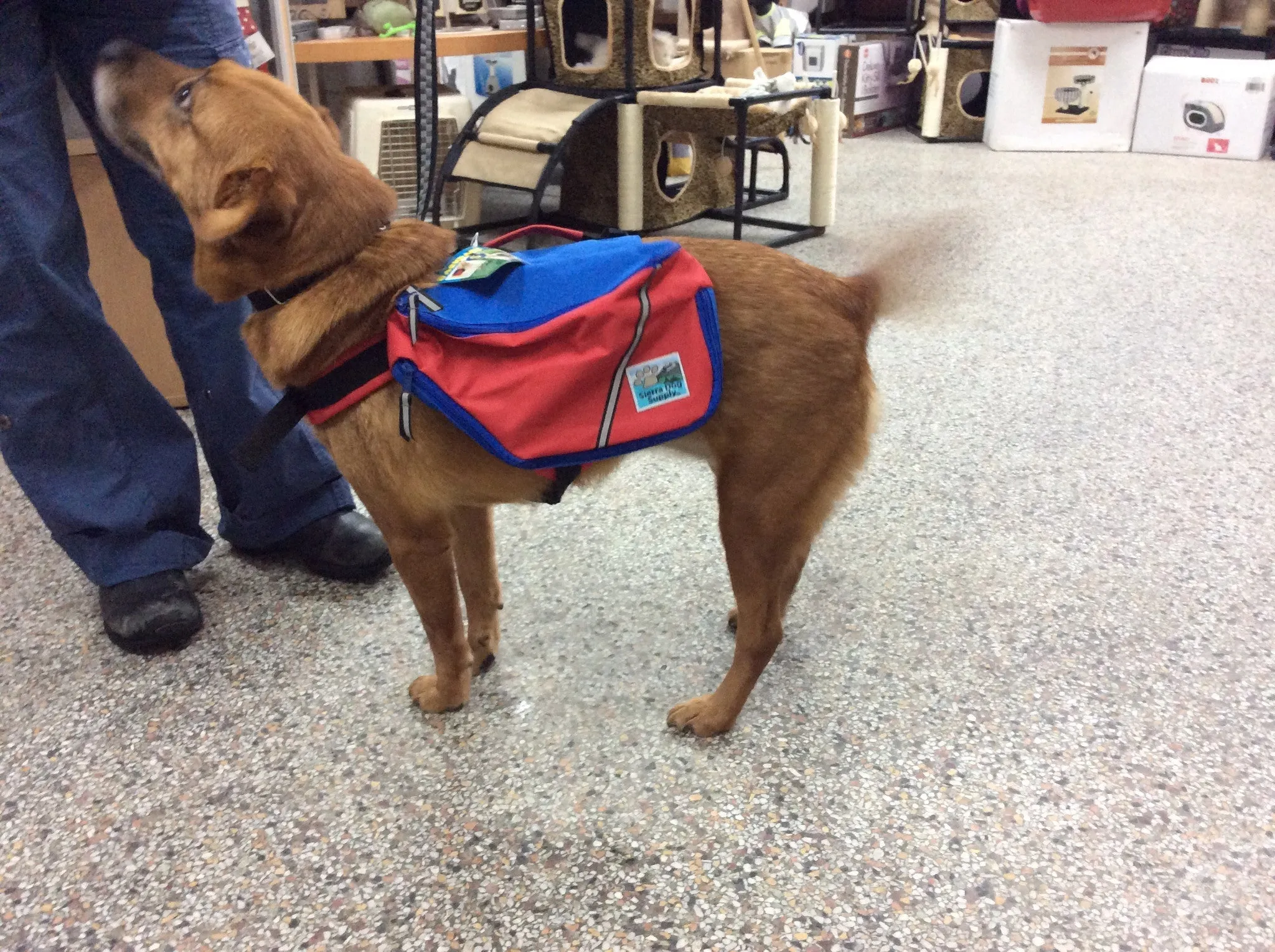 Doggles - Sierra - Backpack Medium SALE