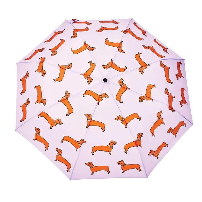 Duck Umbrella Compact