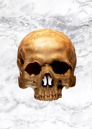 Gold Skull Marble Print White