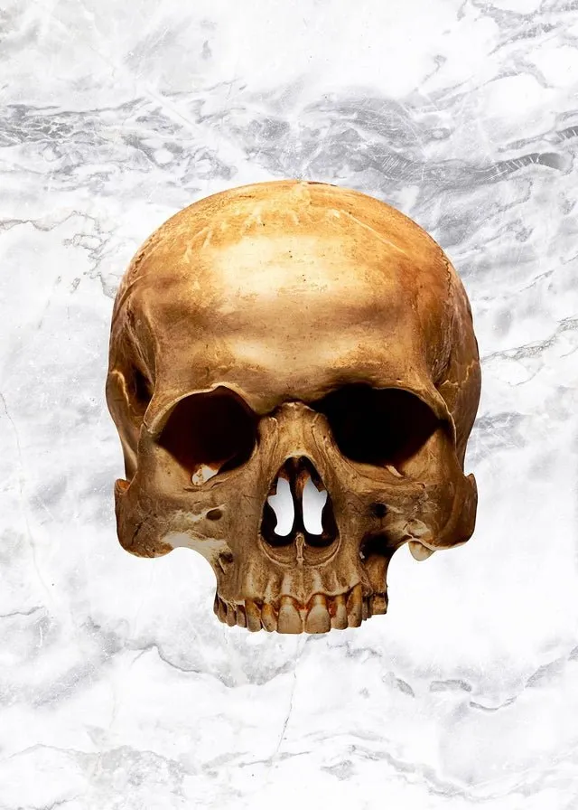 Gold Skull Marble Print White
