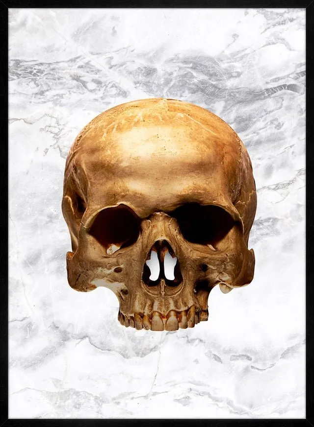Gold Skull Marble Print White
