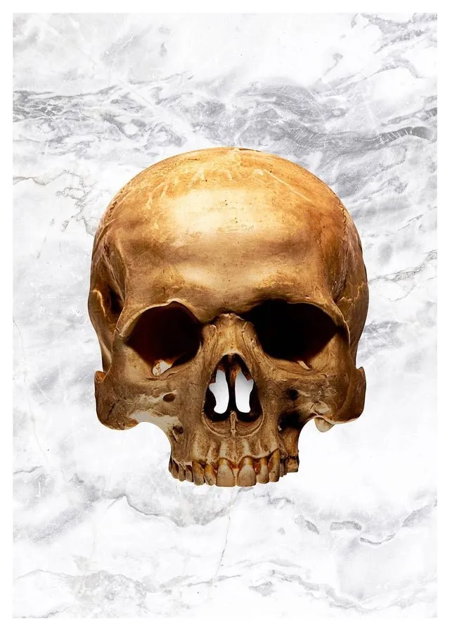 Gold Skull Marble Print White