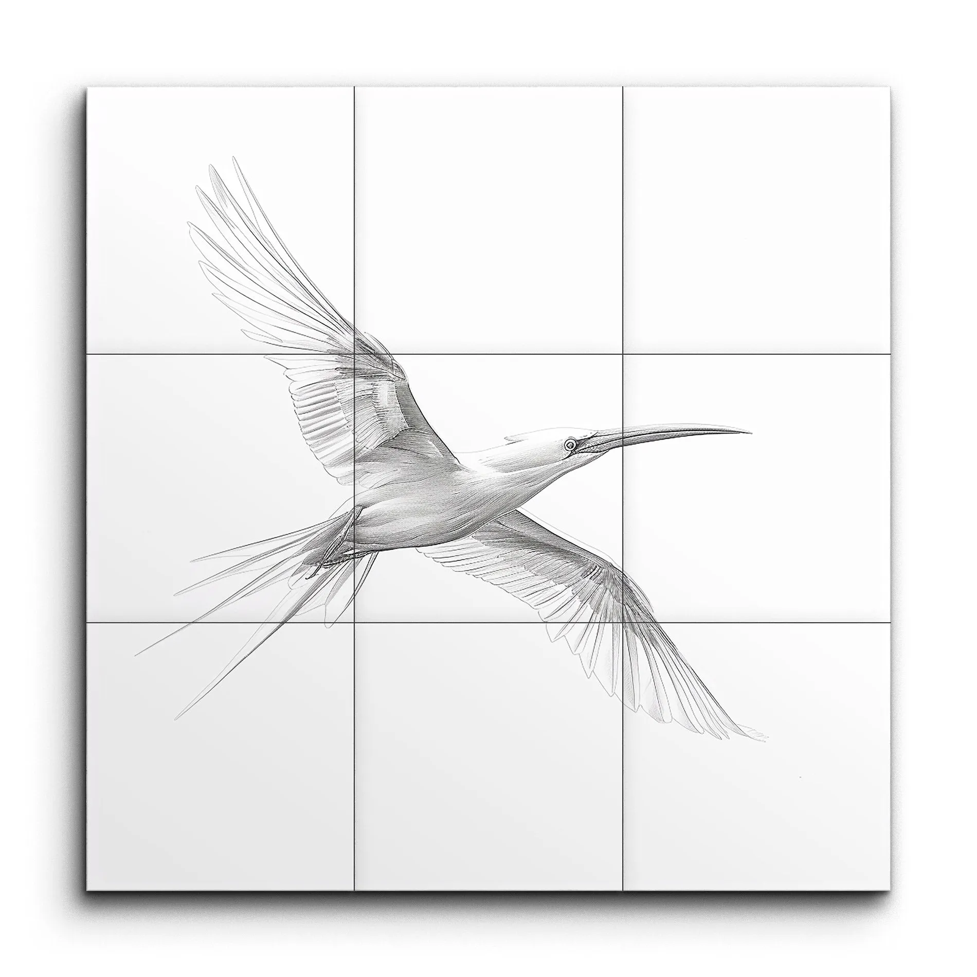 Graceful Flight: Exquisite Bird Art in Motion