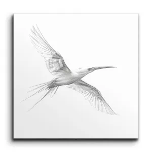 Graceful Flight: Exquisite Bird Art in Motion