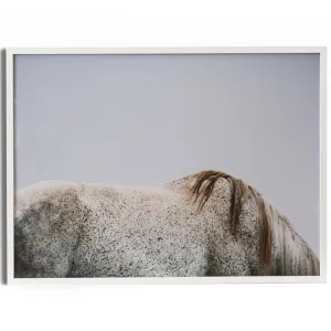 Graze