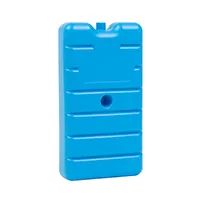 Insulated Pathology Specimen & Sample Bag (Medium) - Freeze Board Bundle