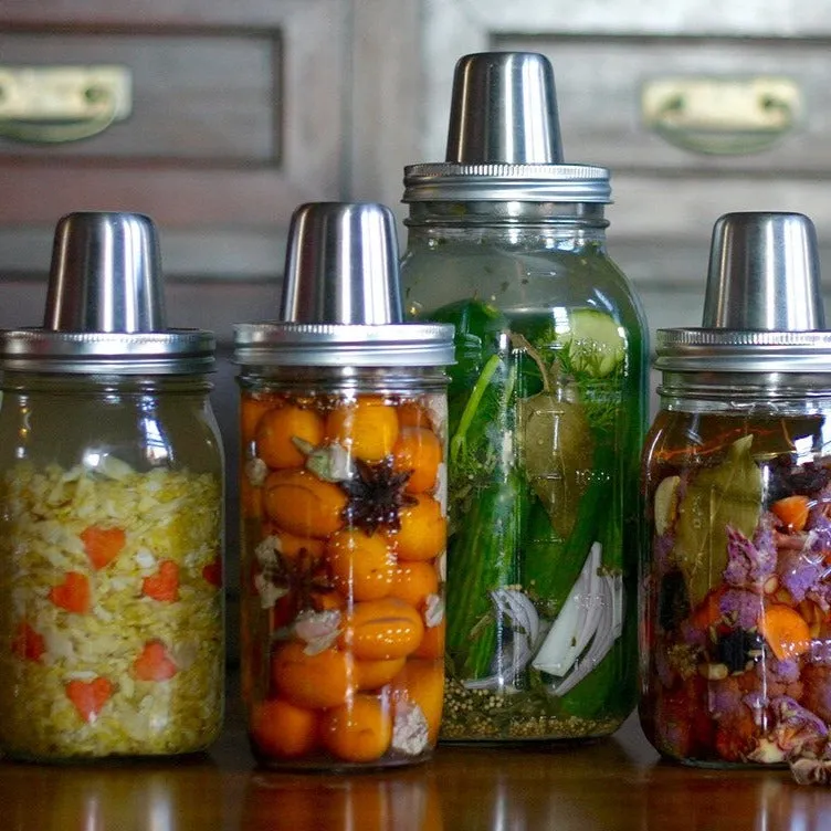 Omnivore & Kraut Source Fermentation Kit