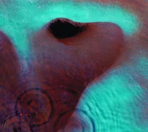 Pink Floyd - Meddle  (New CD)