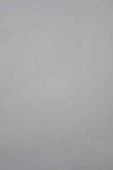 Plain Light Grey Shirt