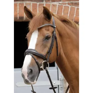 Premier Equine Rivere Anatomic Snaffle Bridle
