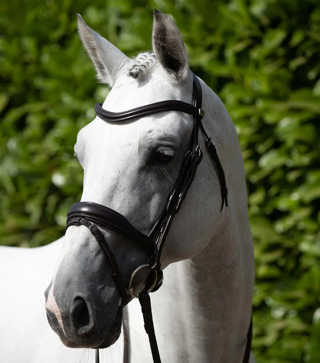 Premier Equine Rizzo Anatomic Snaffle Bridle with Flash Black