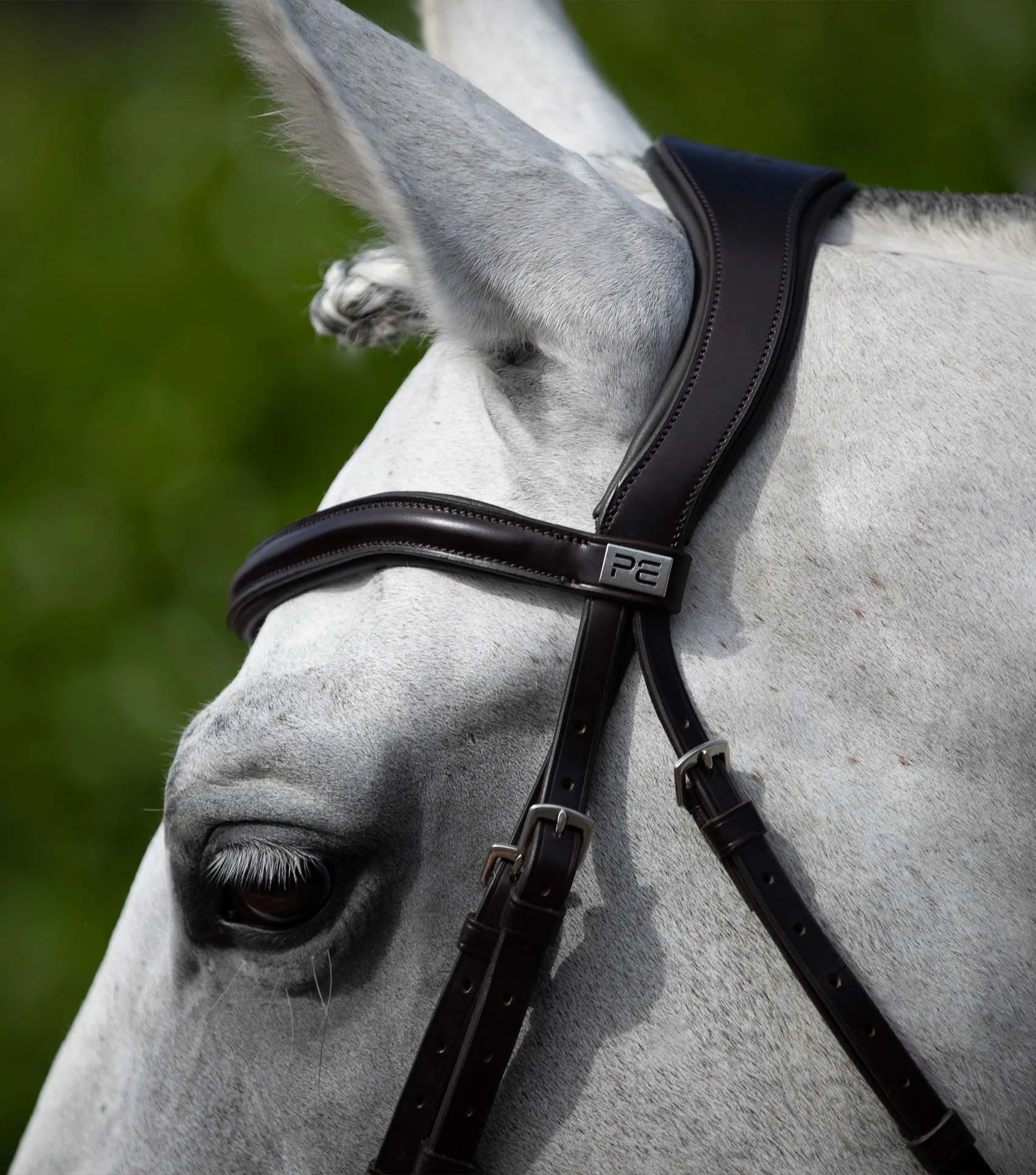 Rizzo Anatomic Snaffle Bridle with Flash Brown