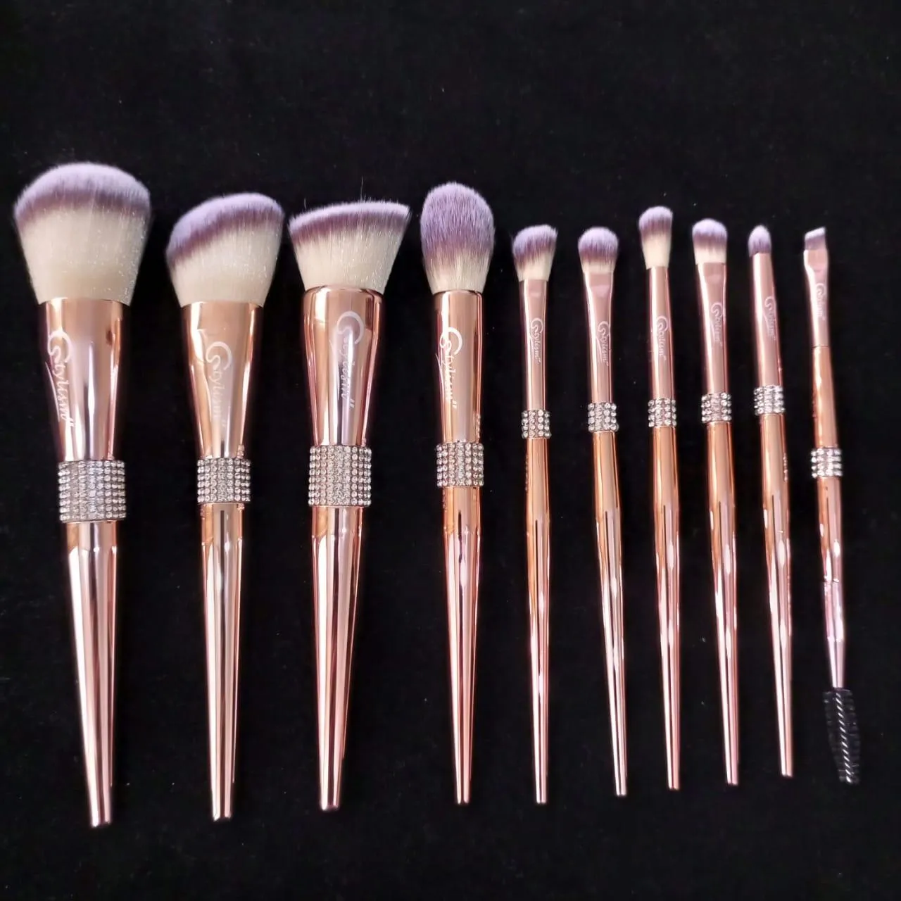Rouge Pink Brush Set (10 piece brush collection with bag)