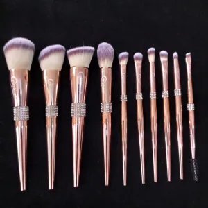 Rouge Pink Brush Set (10 piece brush collection with bag)