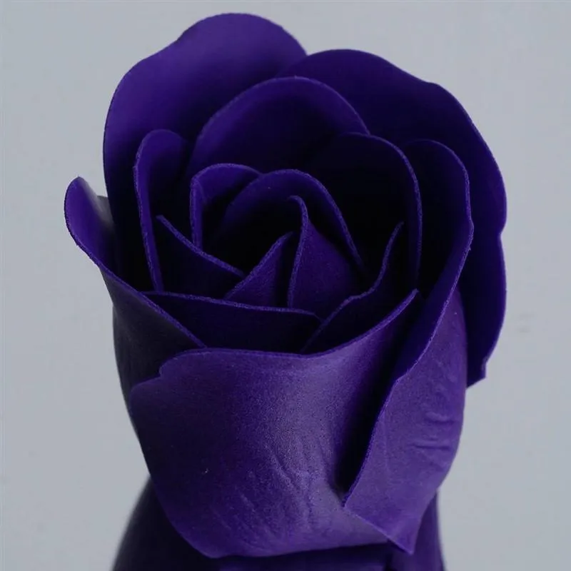 Scented Rose Soap Gift Box - Purple