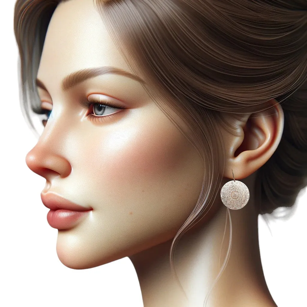 Silver geometric disc earrings