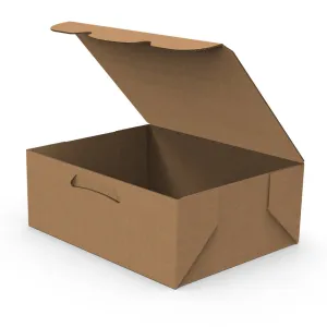 Super Eco Delivery Box S1 (Bundle of 20 pcs)