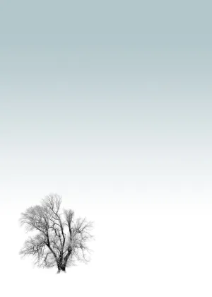 Tree Print