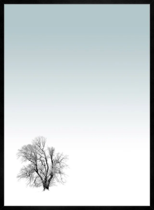 Tree Print