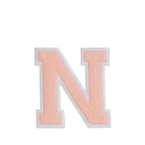 VARSITY LETTER N